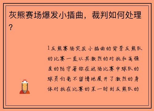 灰熊赛场爆发小插曲，裁判如何处理？